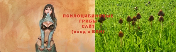 mdma Лагань