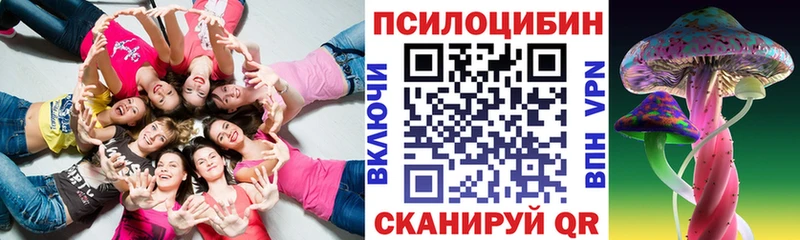 Галлюциногенные грибы Psilocybine cubensis  Севастополь 